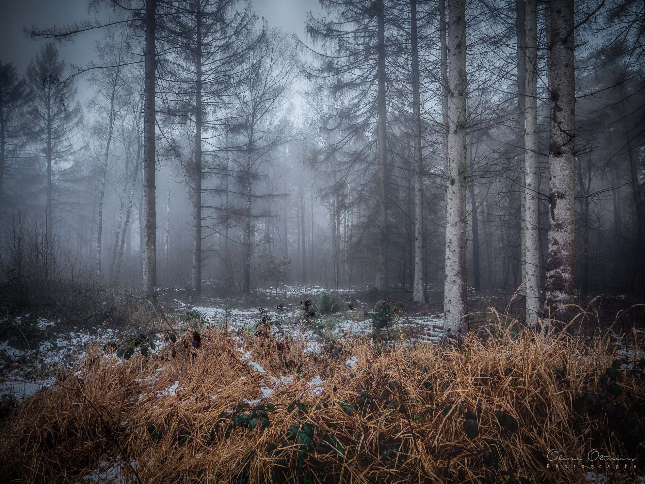 Winter clearing